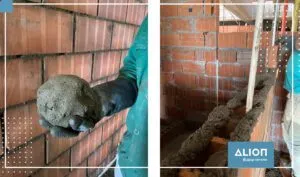 El maravilloso mundo de los morteros: El manejo del mortero de pega para mampostería en la obra