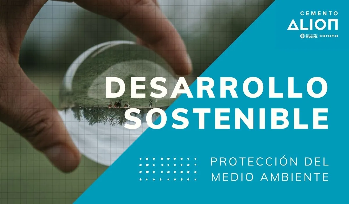 Lee más sobre el artículo Protección del medio ambiente: 3 soluciones de desarrollo sostenible