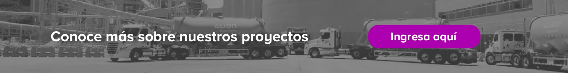Conoce más sobre nuestros proyectos