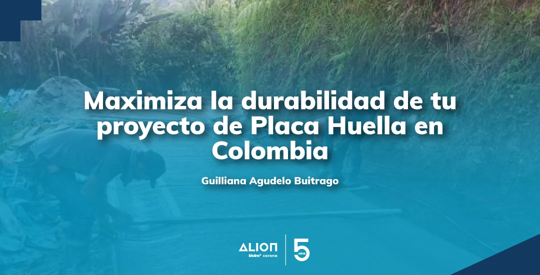 Lee más sobre el artículo Maximiza la durabilidad de tu proyecto de Placa Huella en Colombia